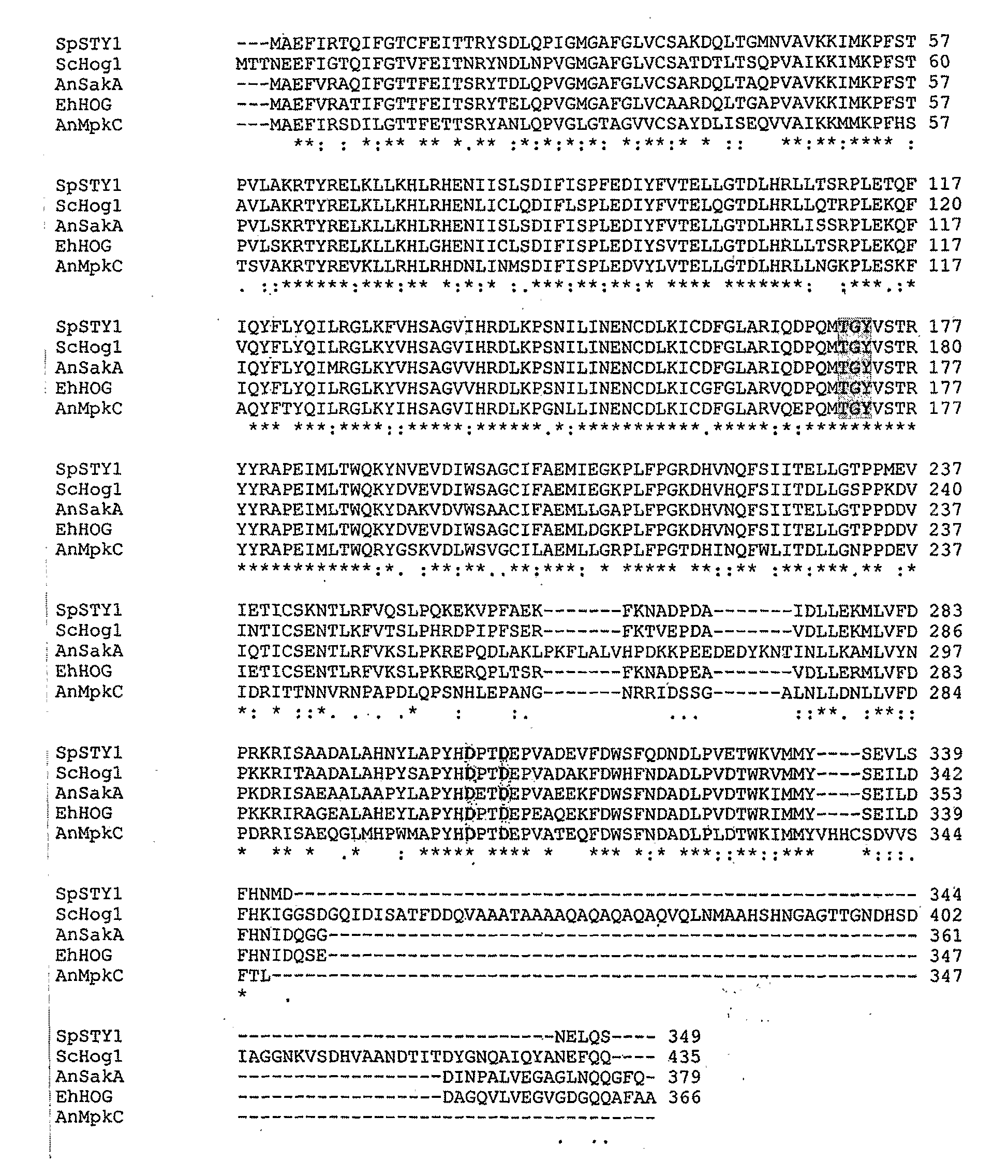 Stress Tolerant Organisms Expressing a Map Kinase Homologue