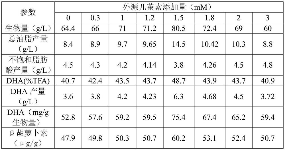 Application of catechinic acid in improving DHA grease yield of schizochytrium limacinum