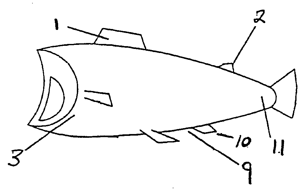 Apparatus and method for trimming of fish fillets