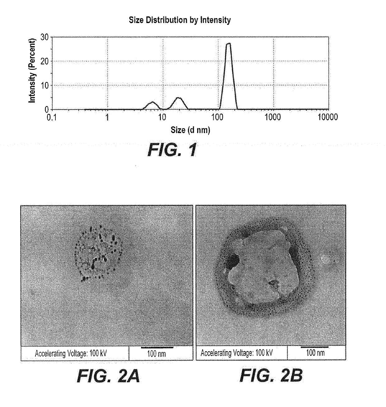 Synthesis of black eggplant (<i>Solanum melongena</i>) skin antioxidant nanoparticles