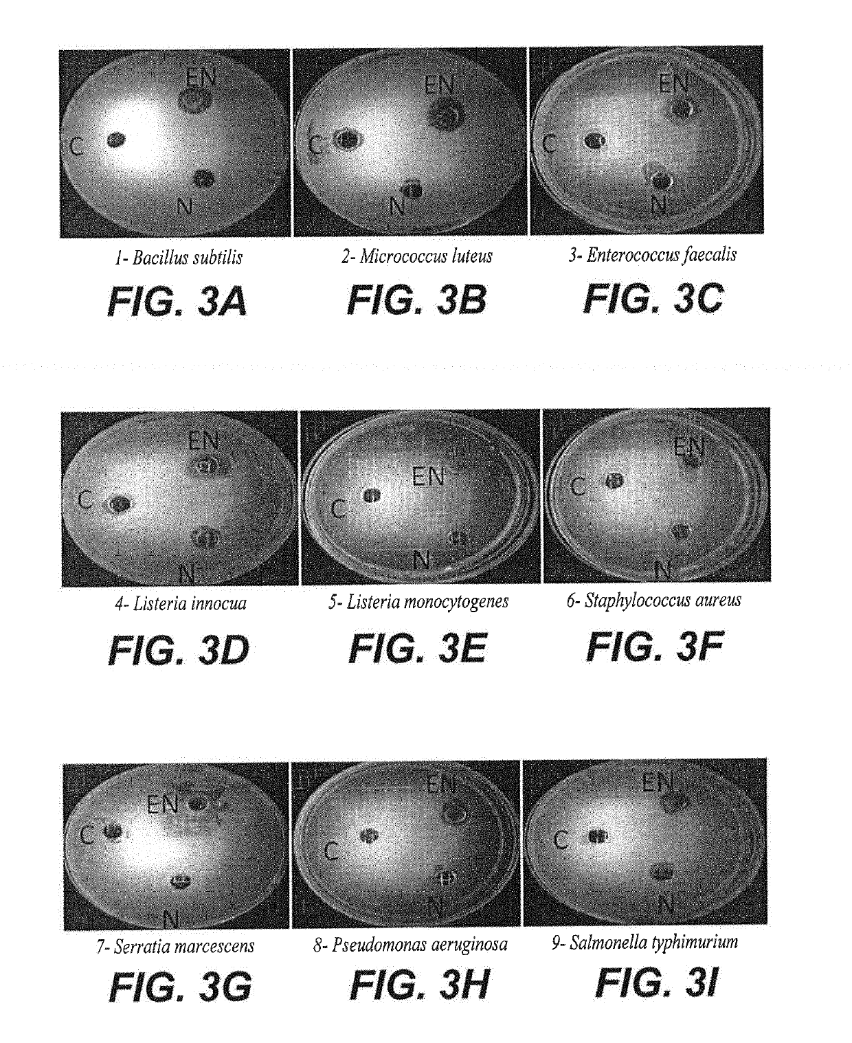 Synthesis of black eggplant (<i>Solanum melongena</i>) skin antioxidant nanoparticles