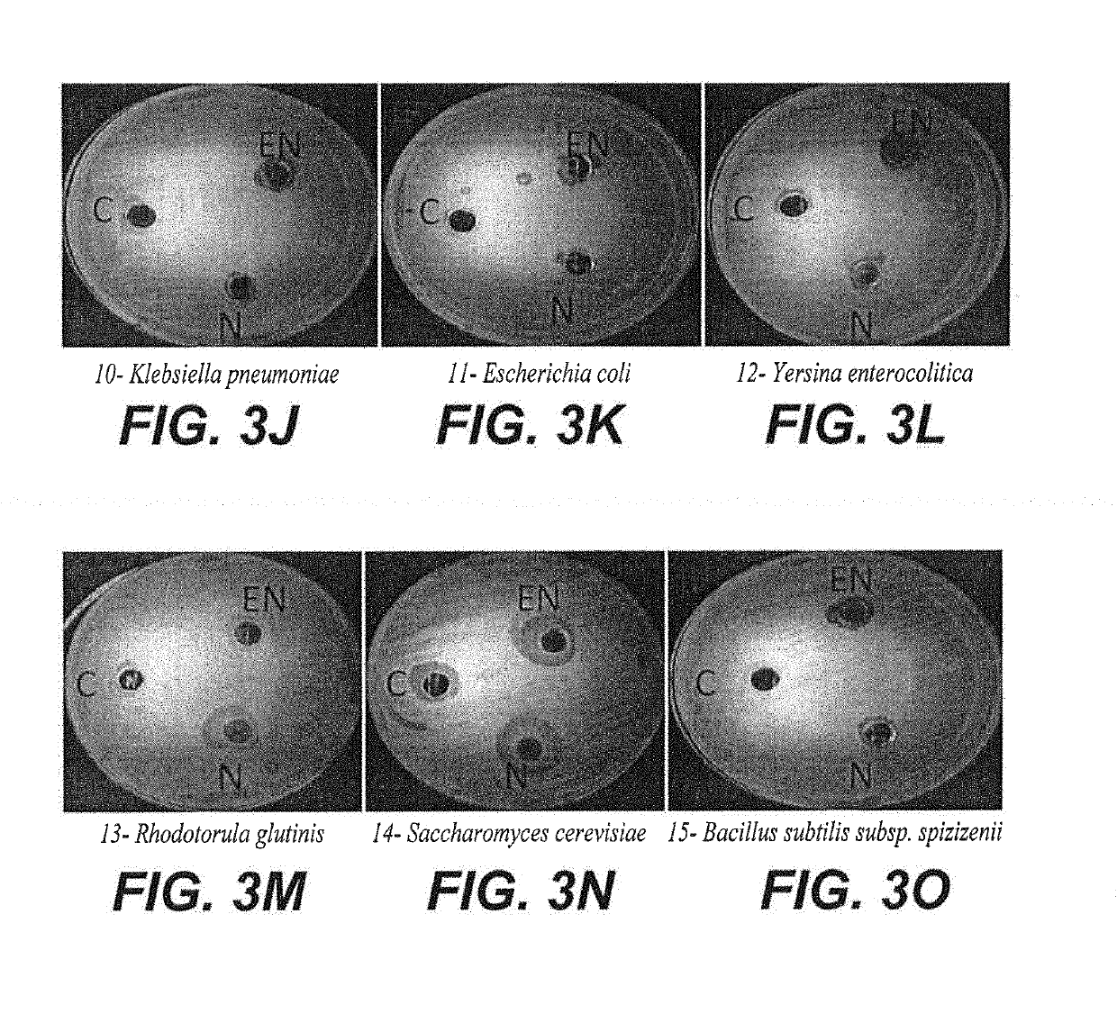 Synthesis of black eggplant (<i>Solanum melongena</i>) skin antioxidant nanoparticles