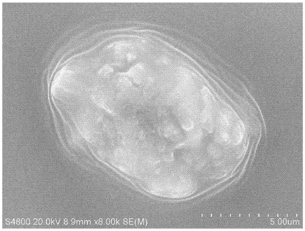 Preparation methods for garbage enzyme and algal bloom inhibitor