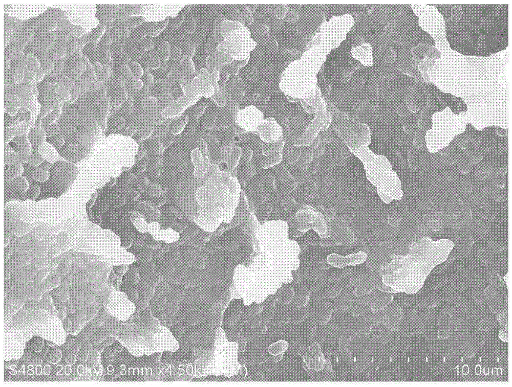 Preparation methods for garbage enzyme and algal bloom inhibitor