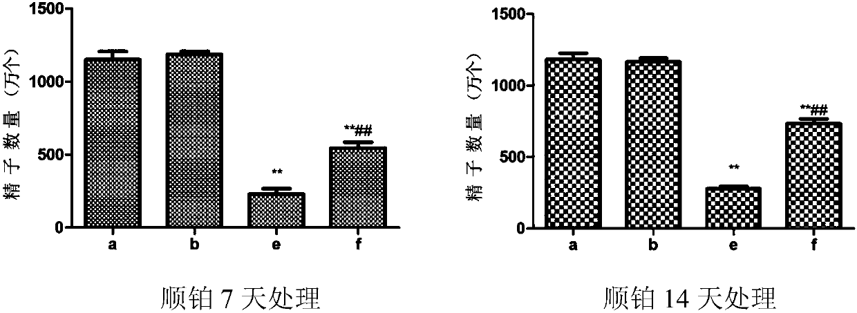 Application of dendrobium polysaccharide in preparation of reproductive injury recovery drugs after cancer chemotherapy