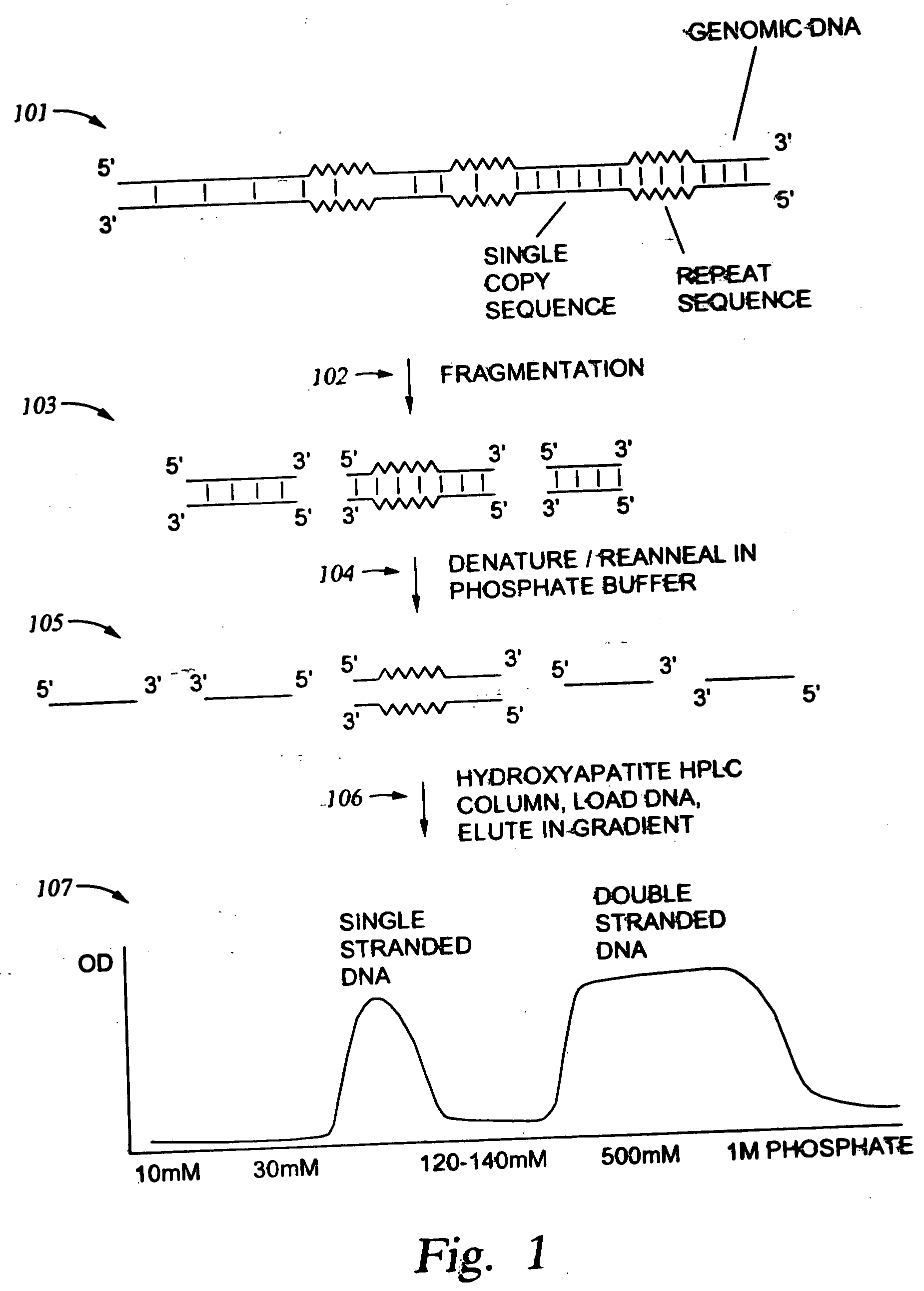 Methods for enriching populations of nucleic acid samples