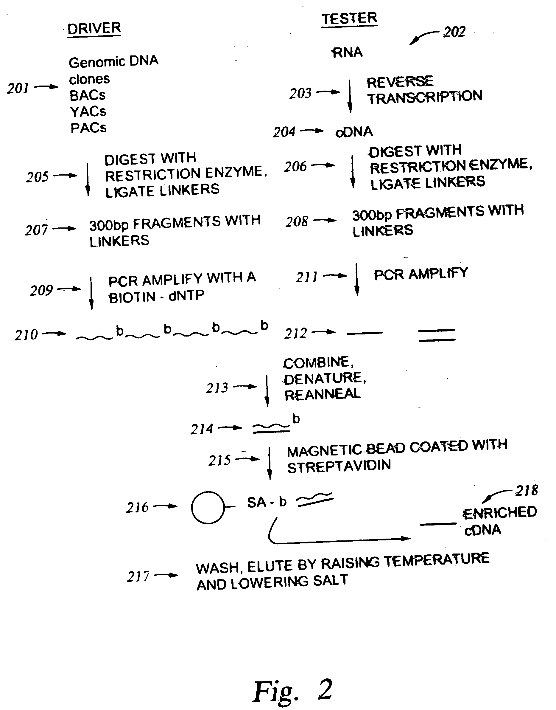 Methods for enriching populations of nucleic acid samples