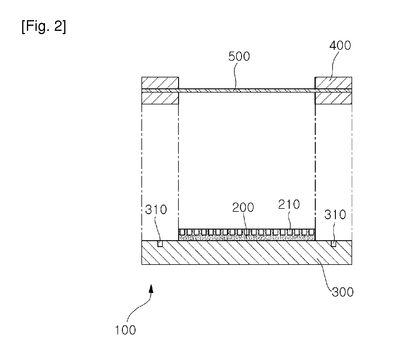 Apparatus for fixing plastic sheet and method of fabricating NANO pattern on plastic sheet using the same