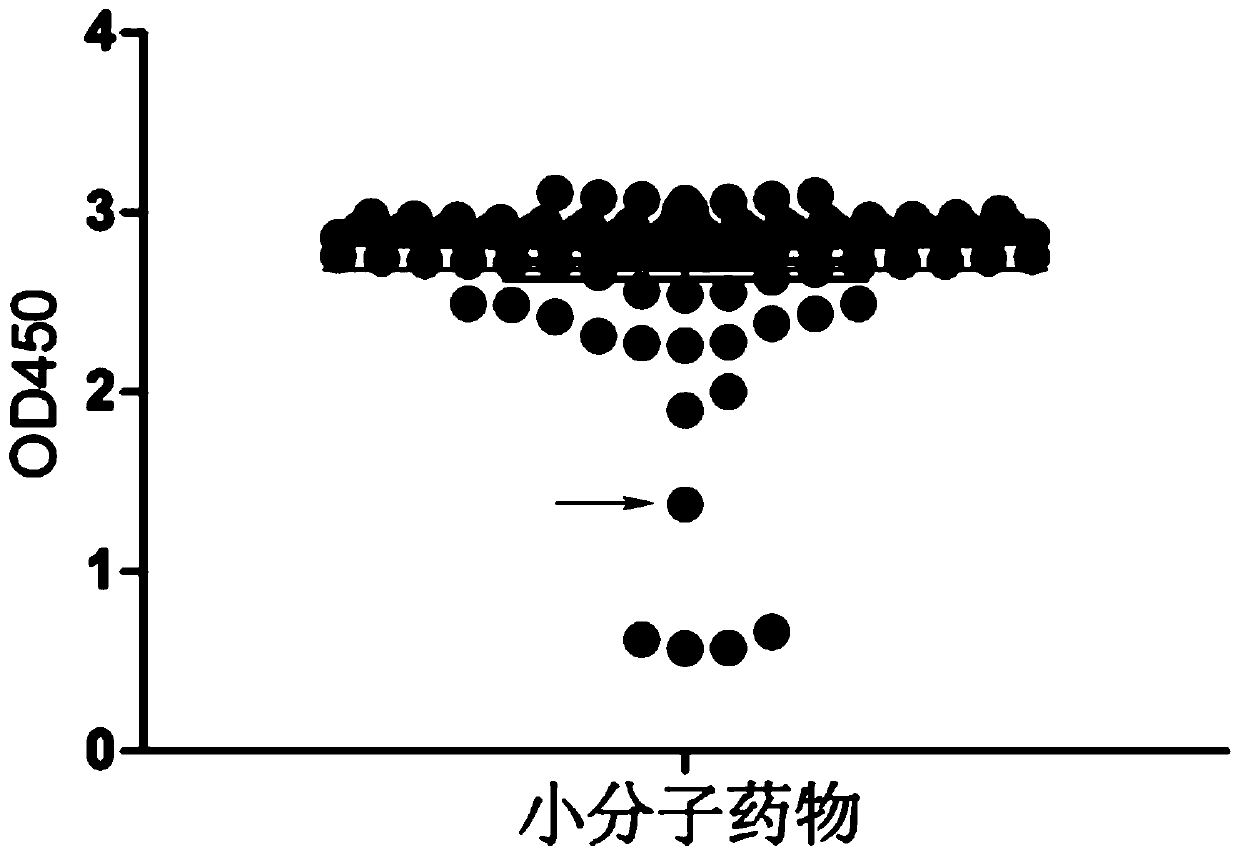 Application of avobenzone in the preparation of antitumor drugs