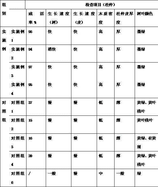 Pig feed for eliminating body odor and metabolite odor and preventing and curing cad pig disease, premixed feed and preparation method thereof