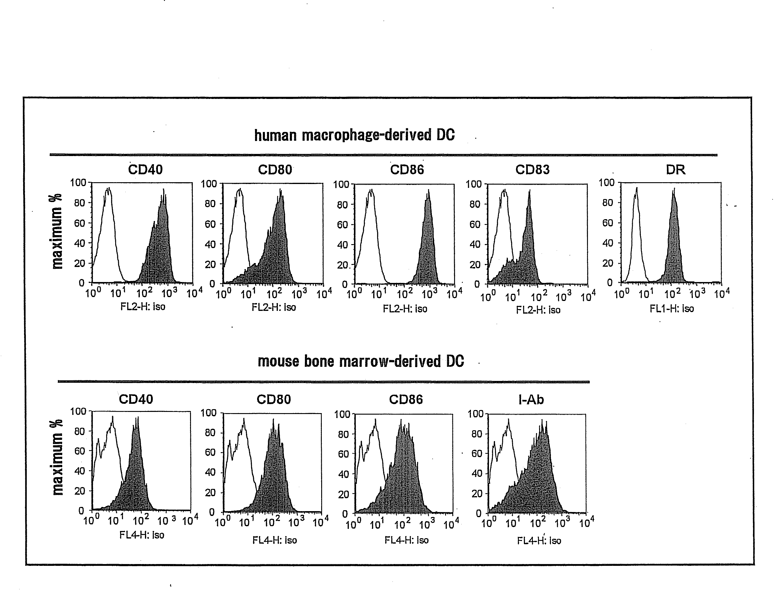 Method for analysis of nkt cell function