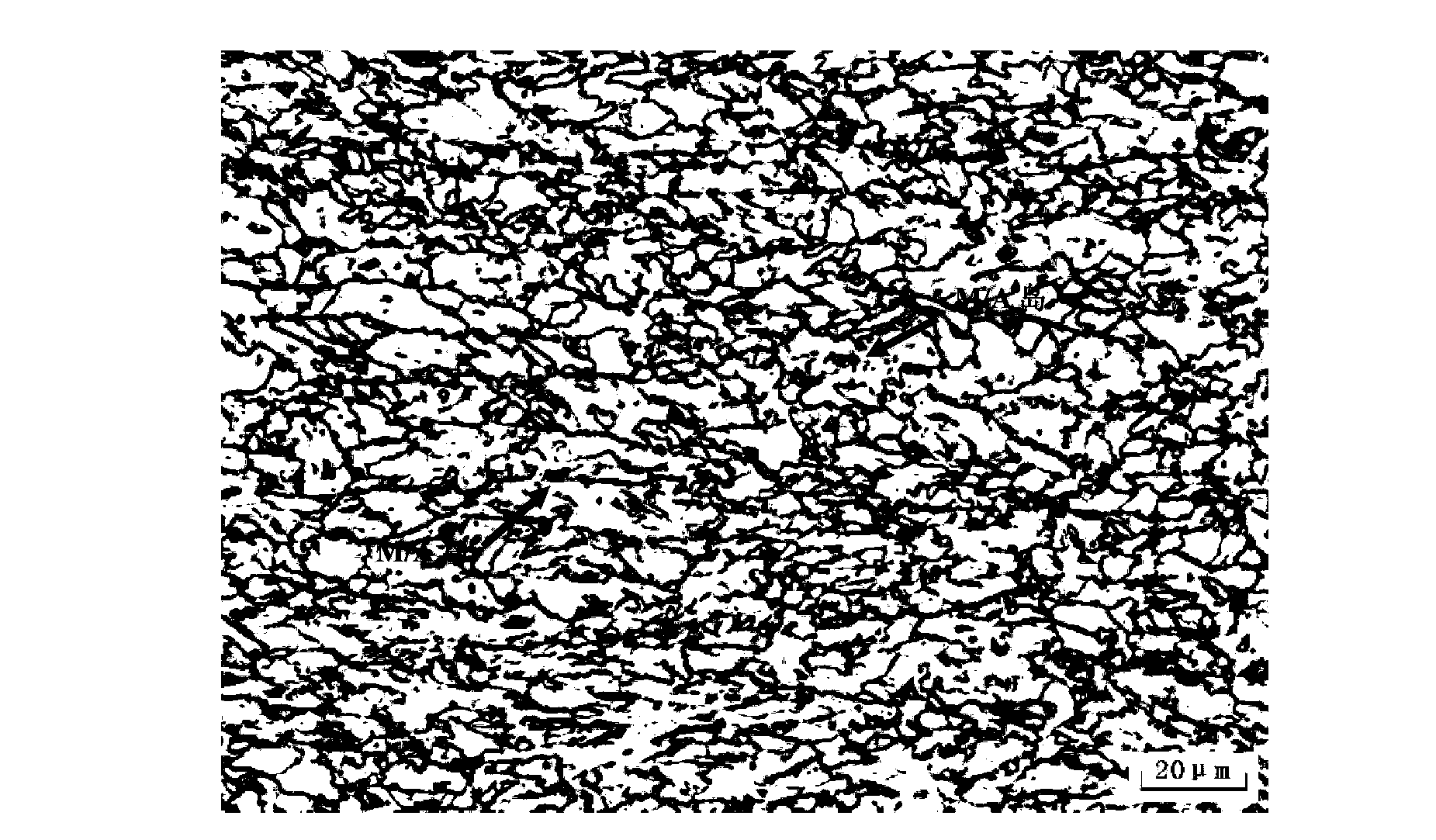 Method for displaying M/A island structures inside pipeline steel