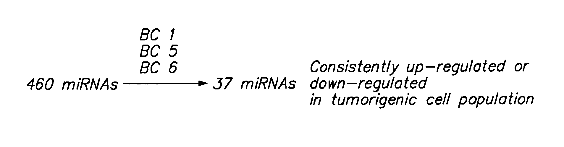 Methods and Compositions Relating to Carcinoma Stem Cells