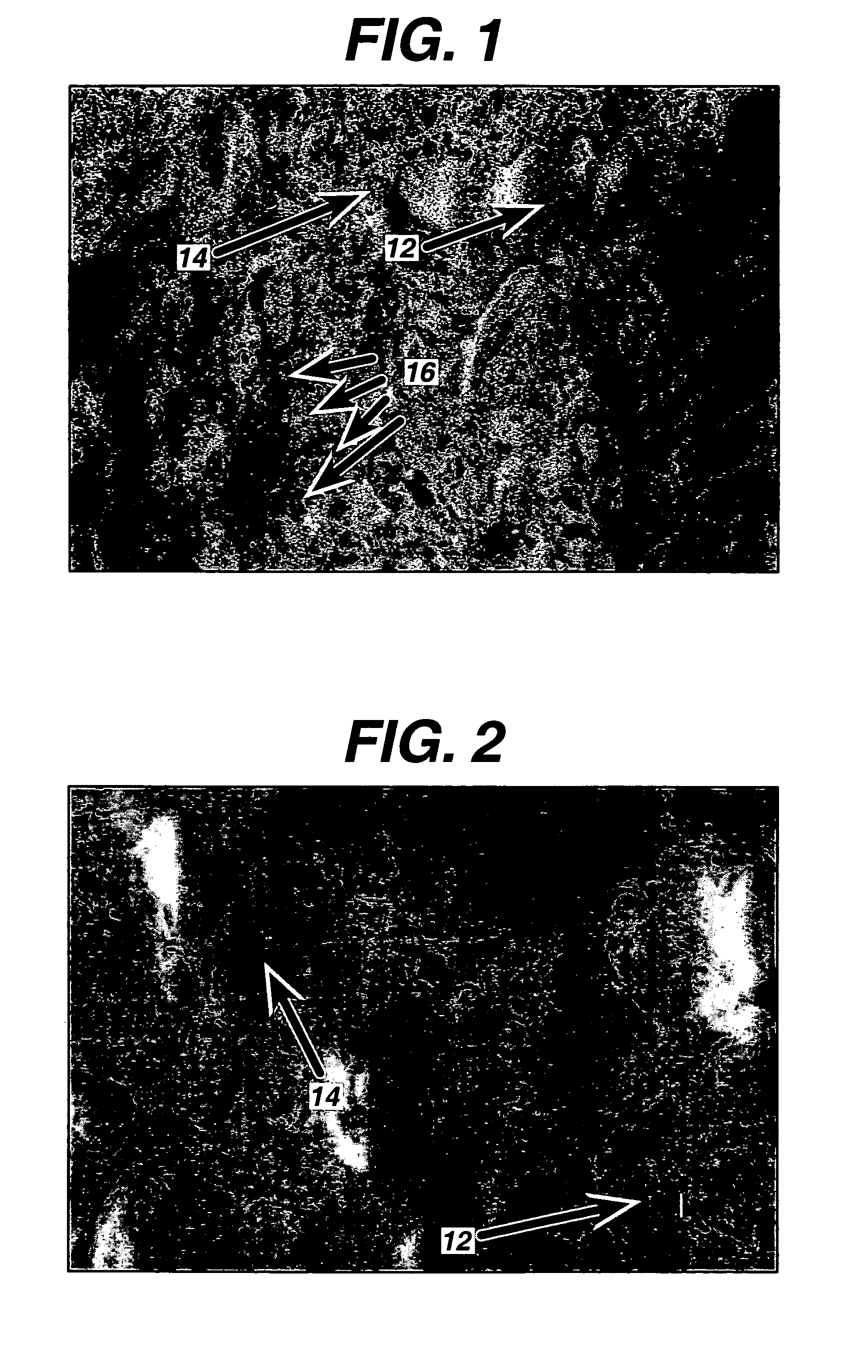 Heat tolerant farinaceous-based food product