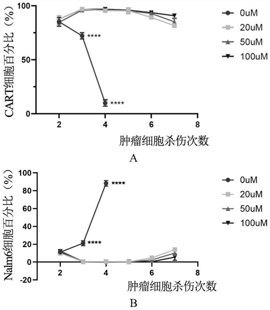 Culture medium for CAR-T (Chimeric Antigen Receptor T cell) culture and application thereof