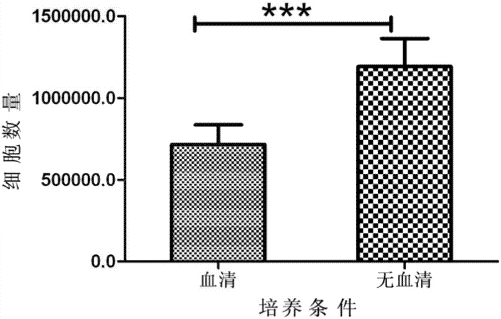 Serum-free medium