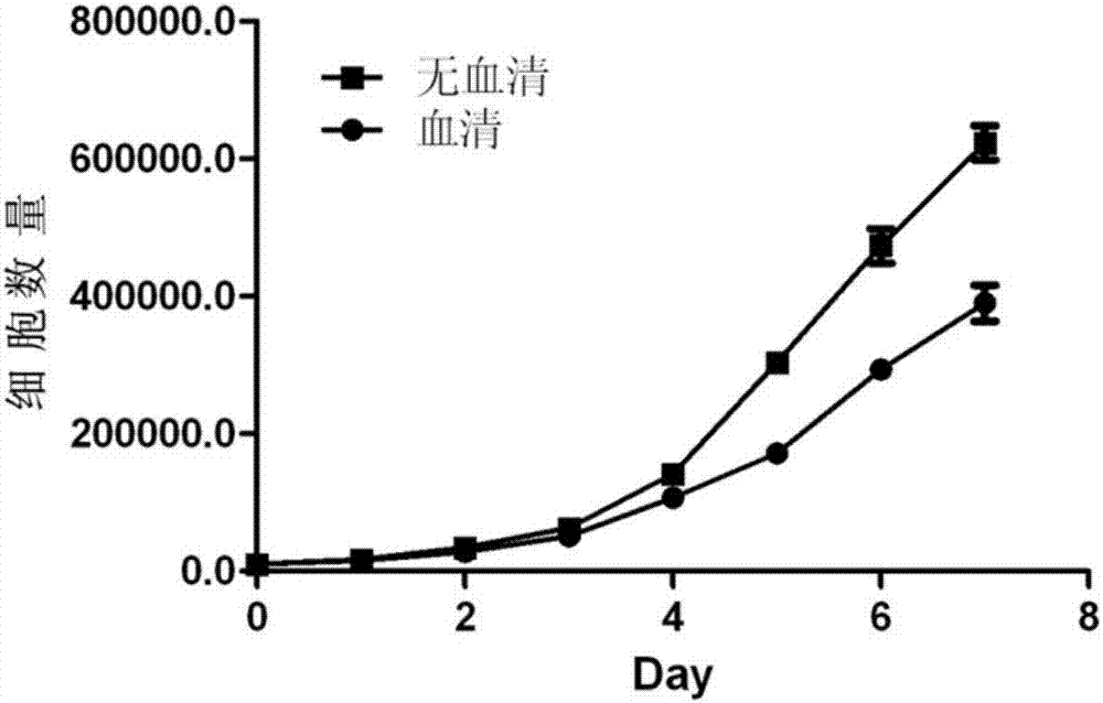 Serum-free medium