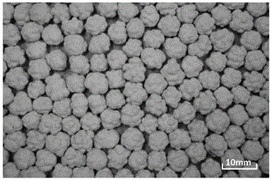 Method of preparing porous phosphor absorbing ceramic particle from sludge in water supply plant