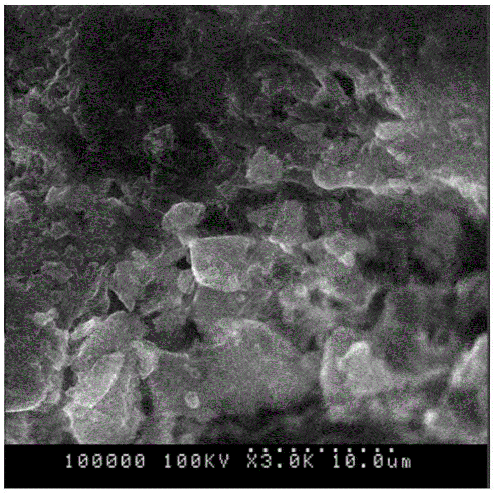 Method of preparing porous phosphor absorbing ceramic particle from sludge in water supply plant