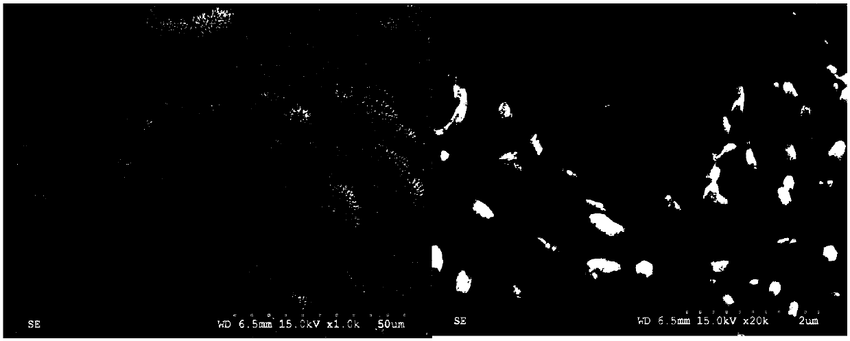 A kind of preparation method of polymer fiber-based zno nanowire fiber