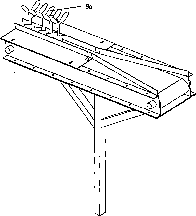 Conveying belt and rotating disc combination type seedling feeding device