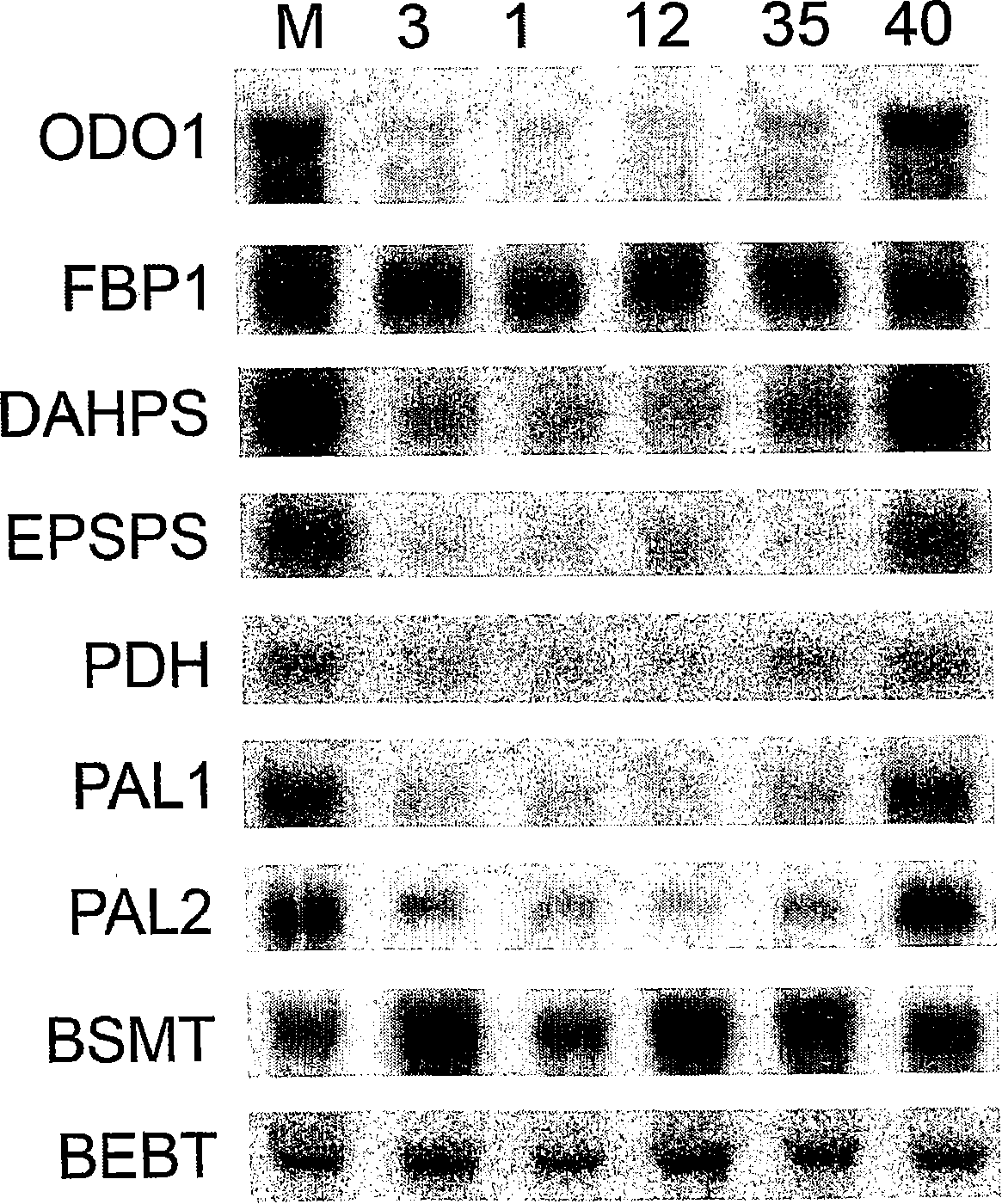 Novel regulation protein