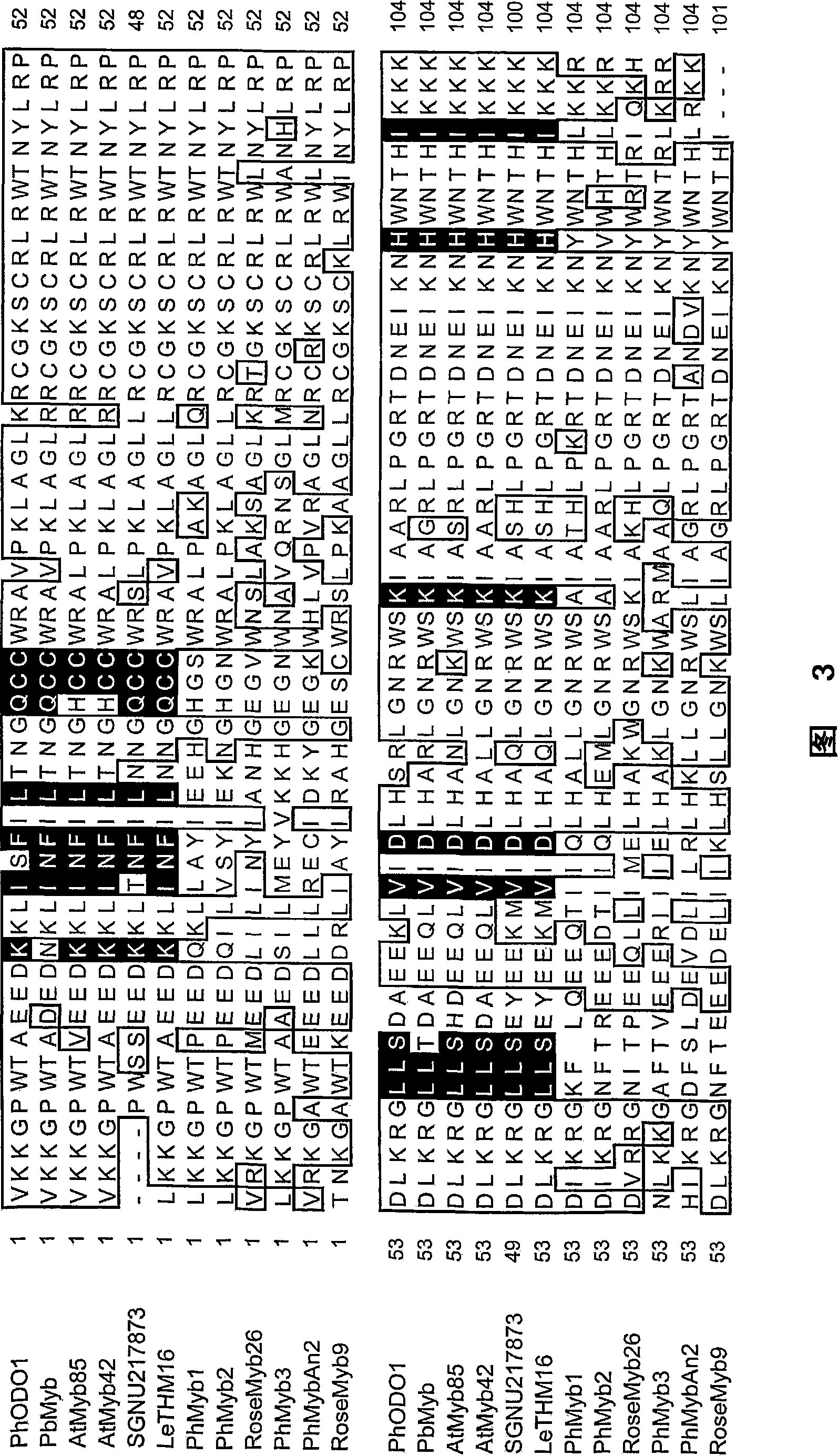 Novel regulation protein