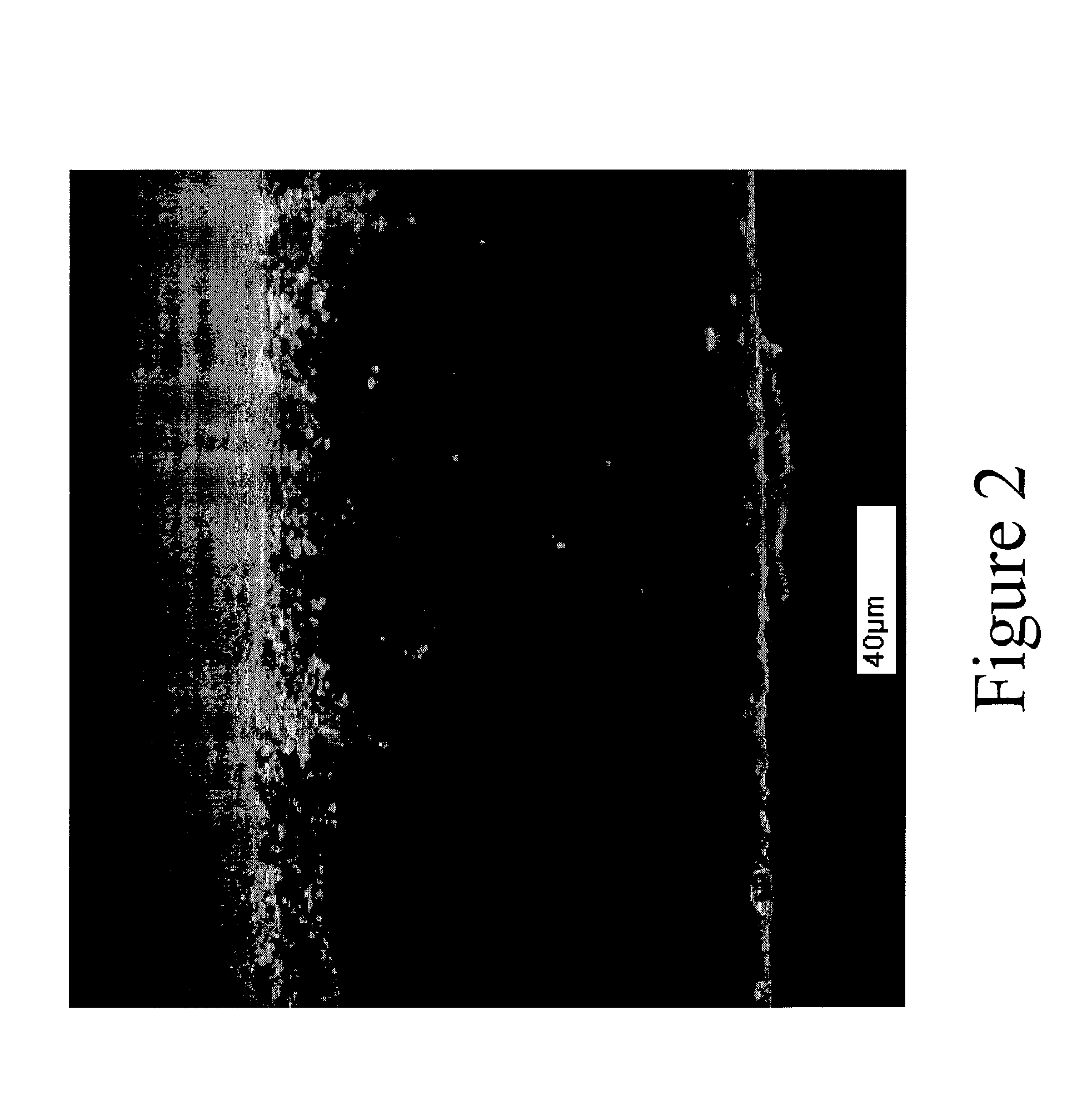 Spatially-controlled modified porous membrane