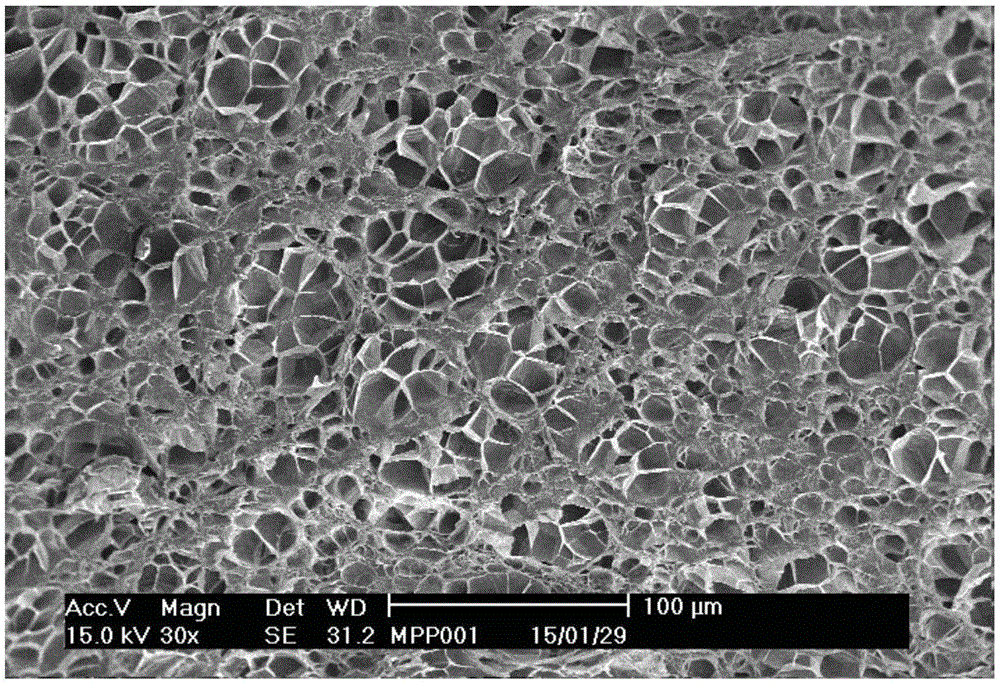 Composition used for preparing polypropylene foaming material and prepared foaming formed body