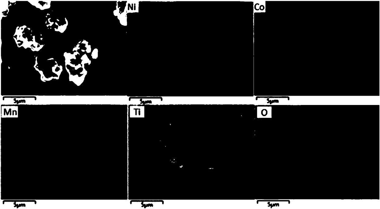 Large-crystal ternary positive electrode material of lithium ion battery and preparation method of large-crystal ternary positive electrode material