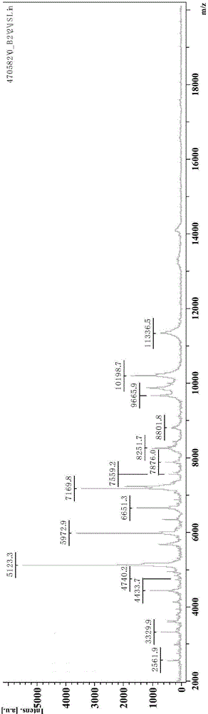 A multiple detection method and database of bean plant pathogenic bacteria