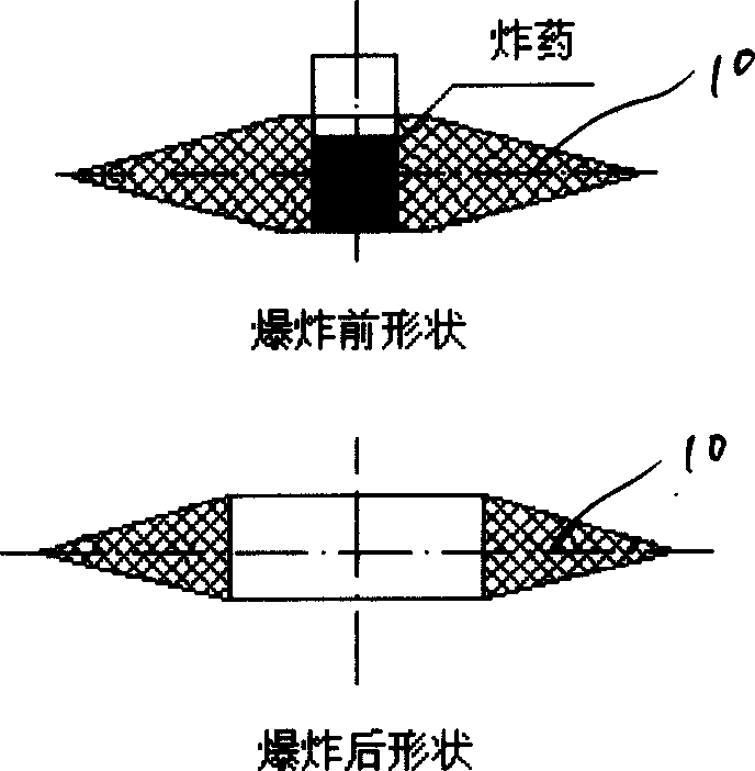 Explosion circuit breaker