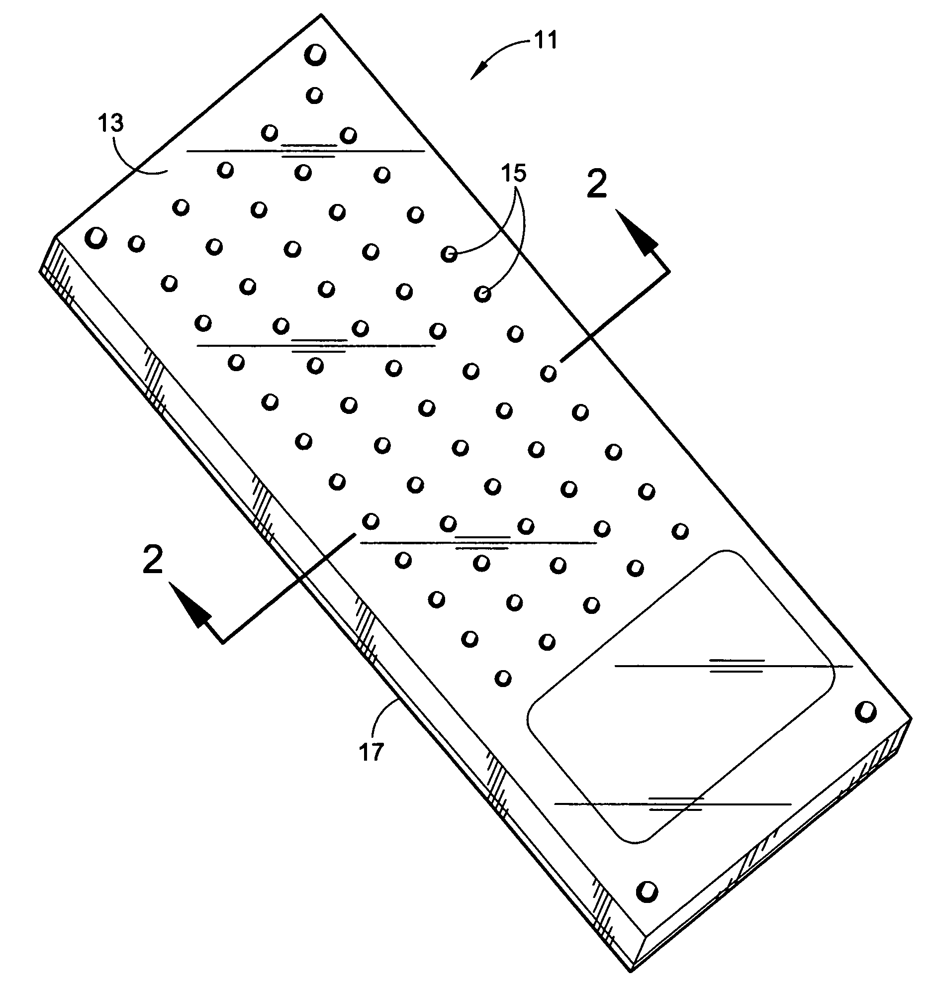 Microwell biochip