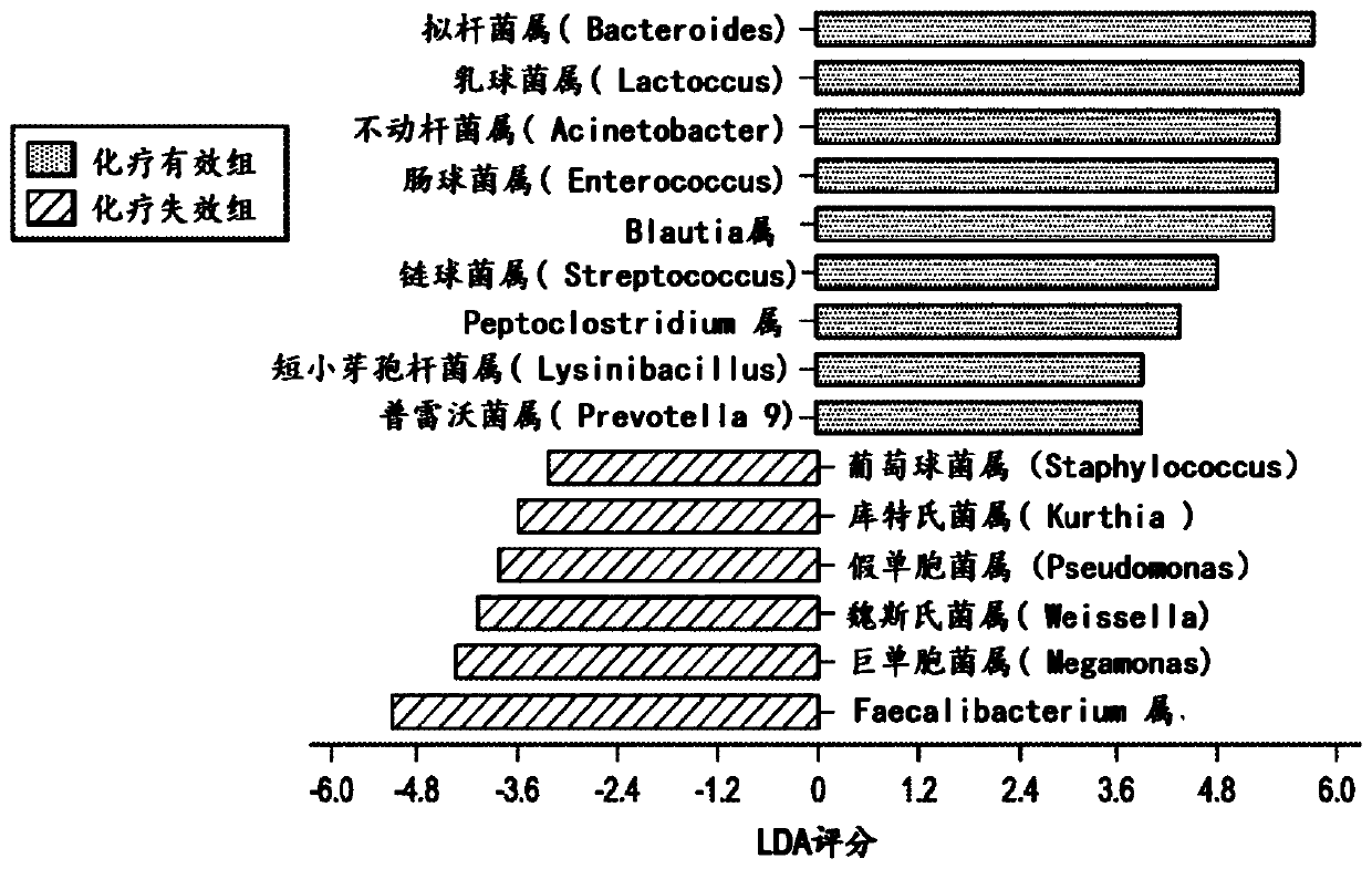 Microbial flora marker for evaluating chemotherapy curative effect of pancreatic cancer and application of microbial flora marker