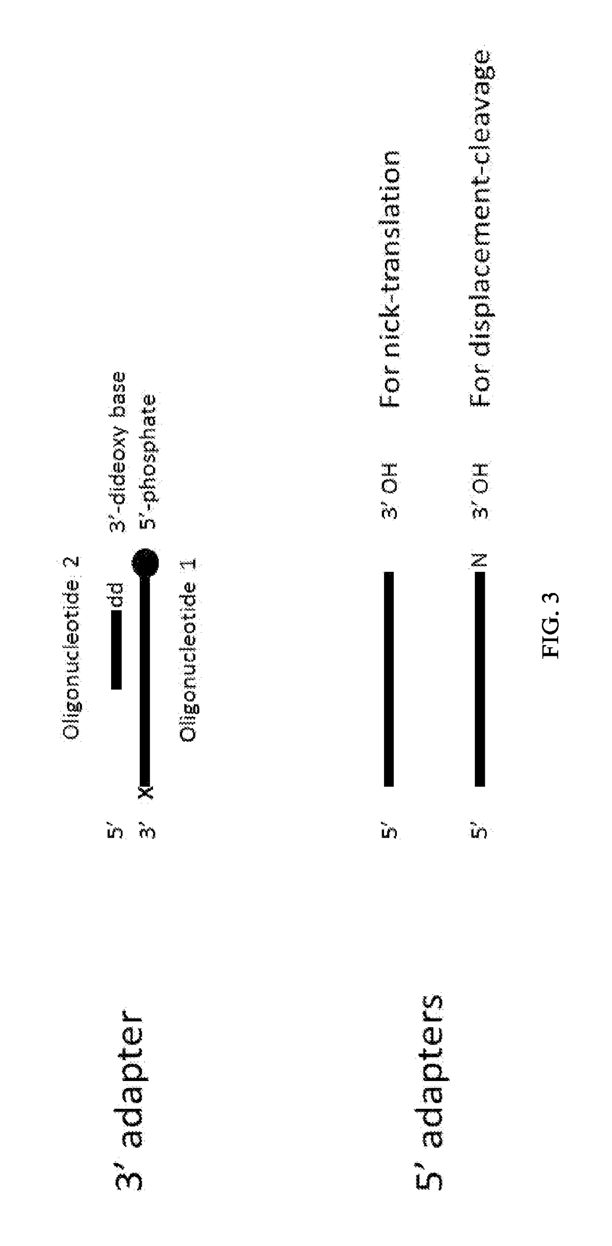 Enhanced Adaptor Ligation