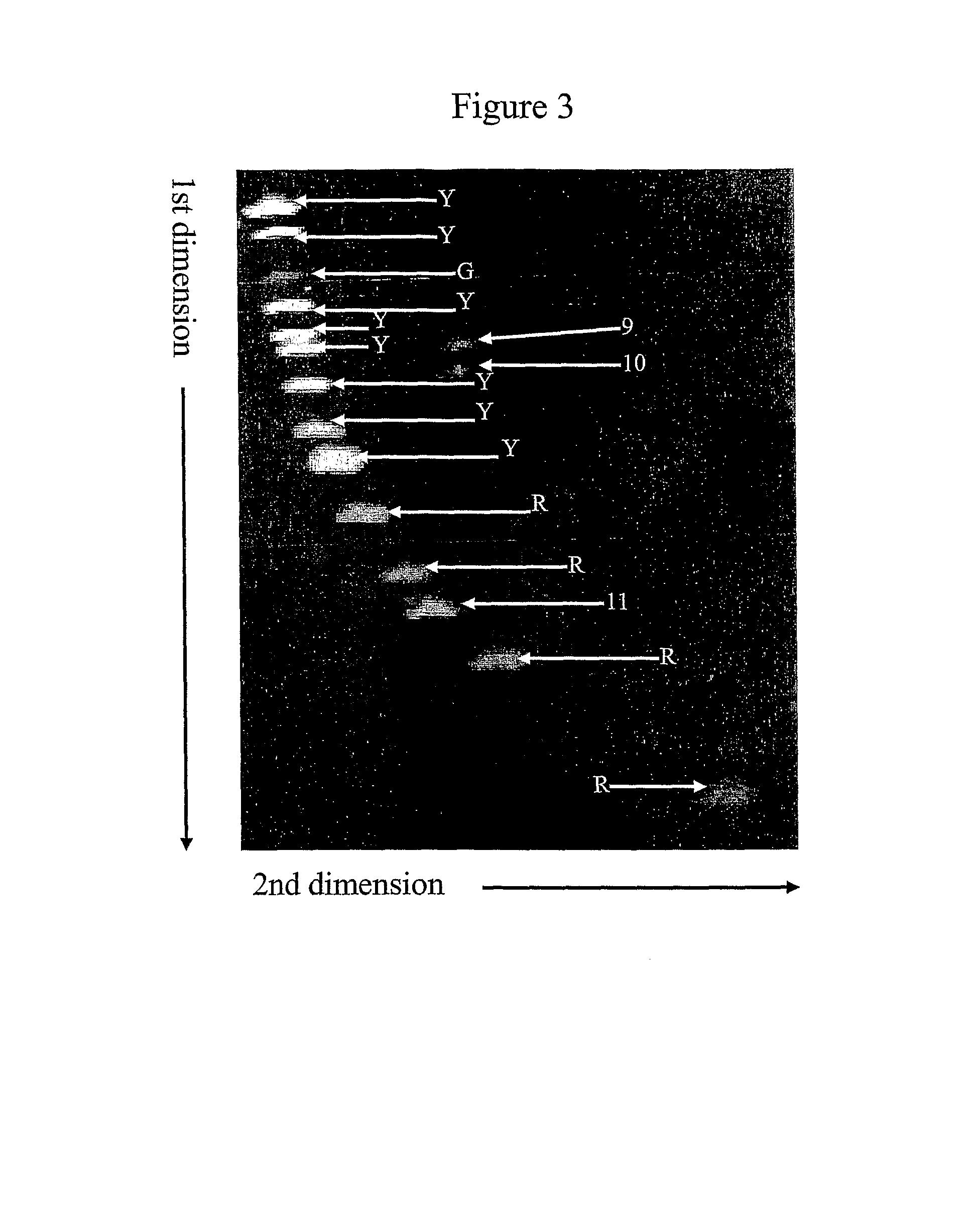 Two-dimensional strandness-and length-dependent separation of nucleic acid fragments