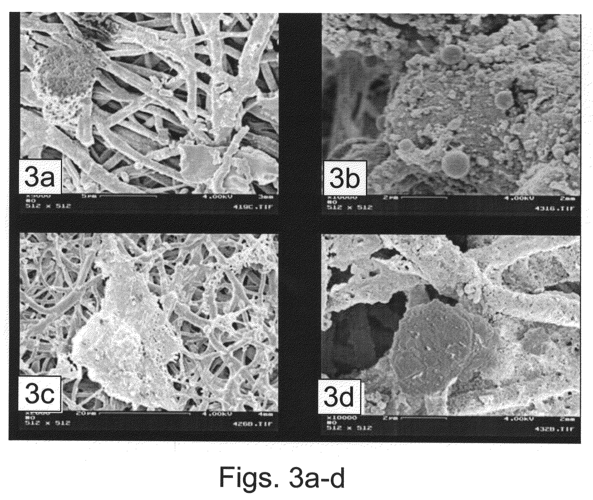 Medical Scaffold, Methods of Fabrication and Using Thereof