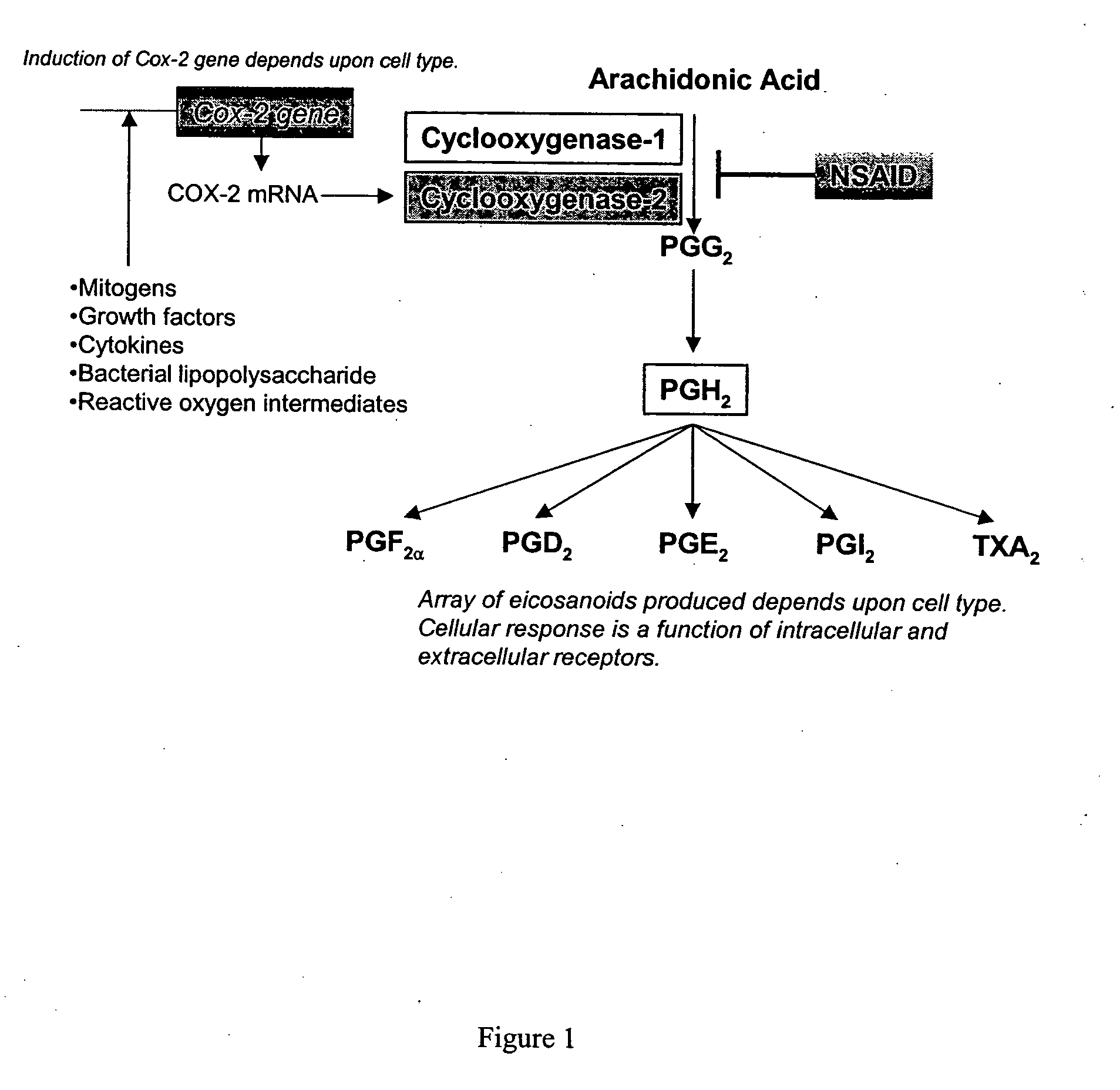 Synergistic compositions that treat or inhibit pathological conditions associated with inflammatory response