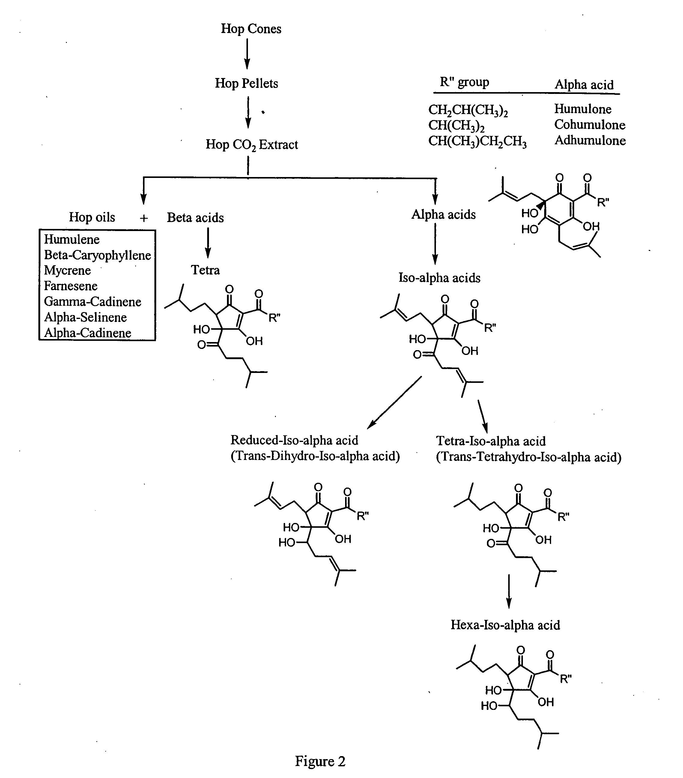 Synergistic compositions that treat or inhibit pathological conditions associated with inflammatory response