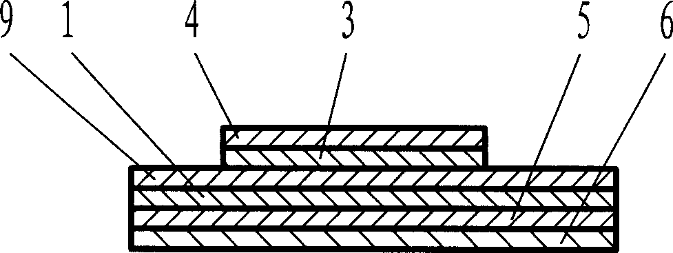 Anti-forgery identification object or anti-forgery label