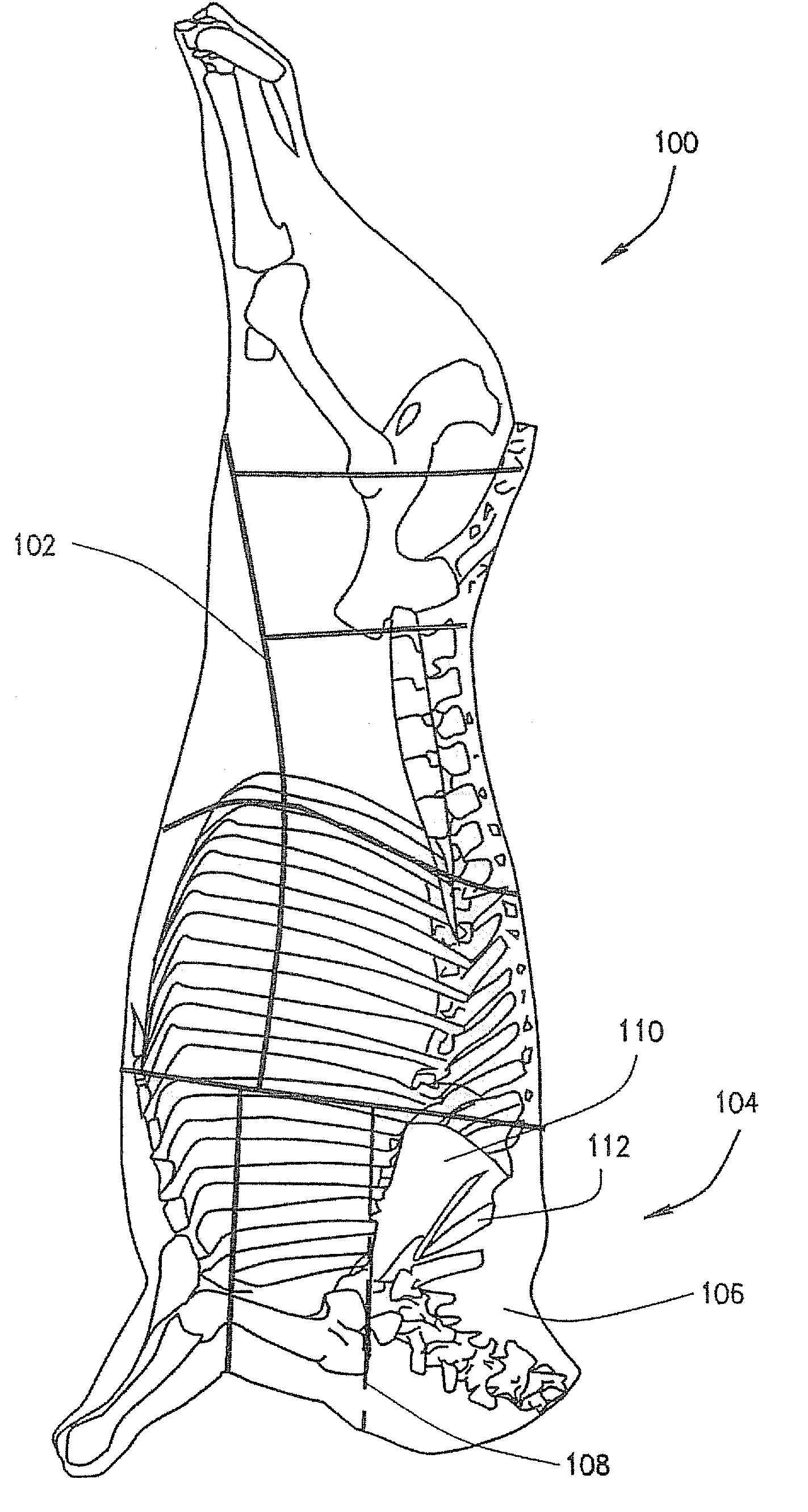 Method and apparatus to load and remove bones from primals