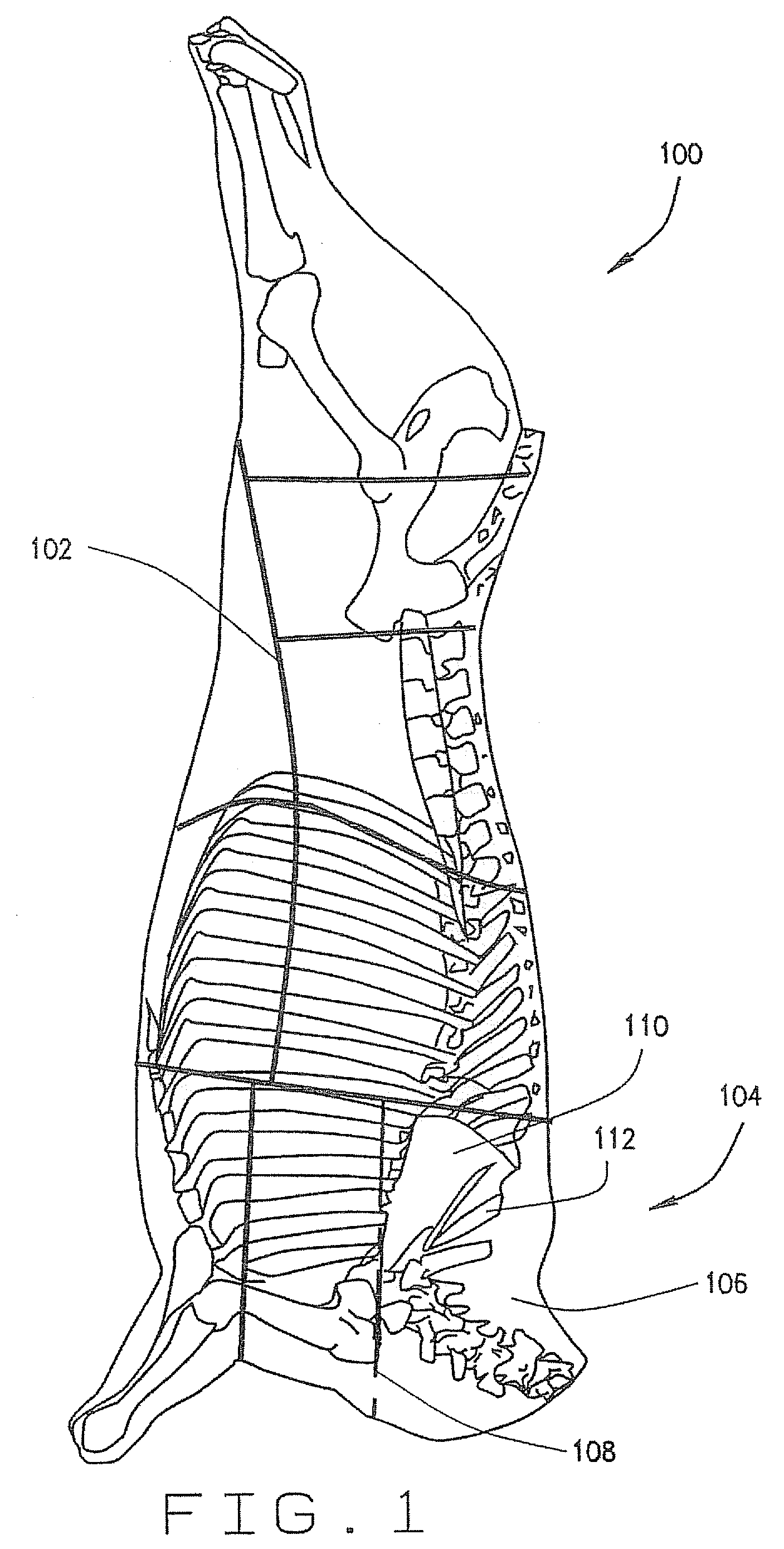 Method and apparatus to load and remove bones from primals