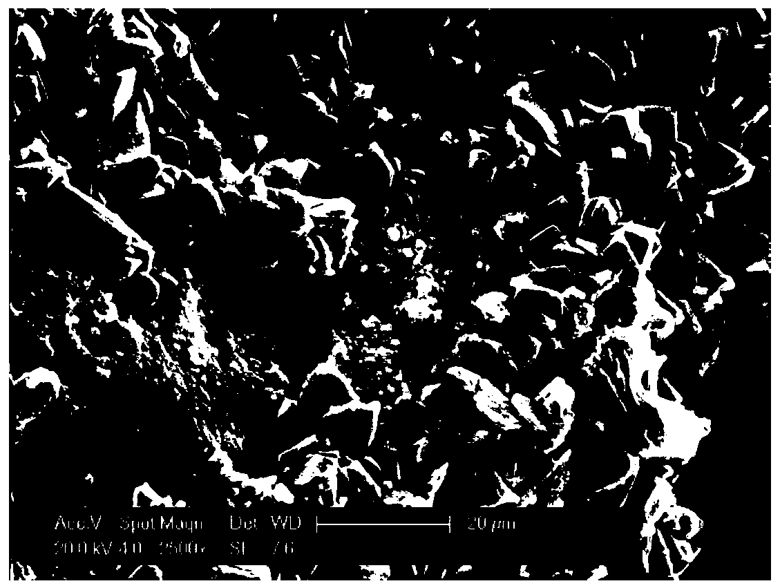 Method for reinforcing recycled aggregates through biological carbonization