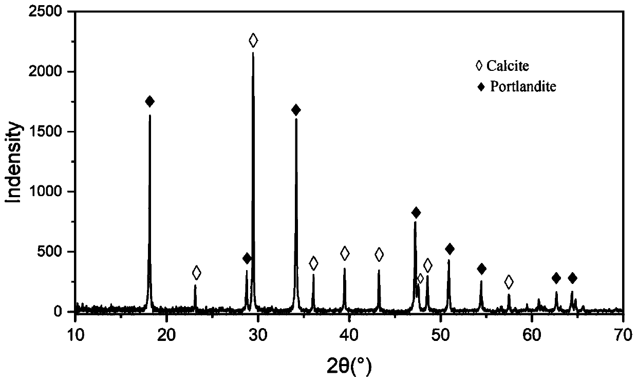 Method for reinforcing recycled aggregates through biological carbonization