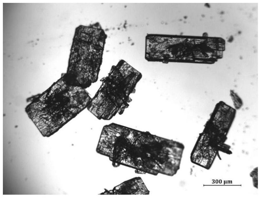 A preparation method for improving the fluidity of L-carnitine fumarate