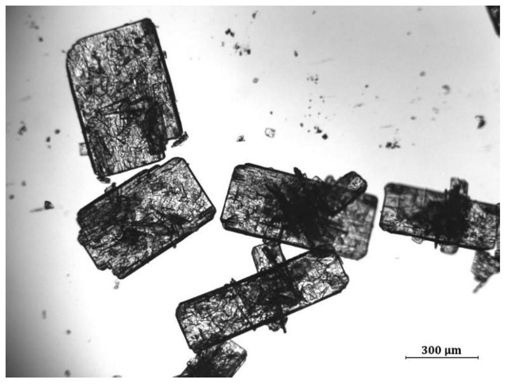 A preparation method for improving the fluidity of L-carnitine fumarate