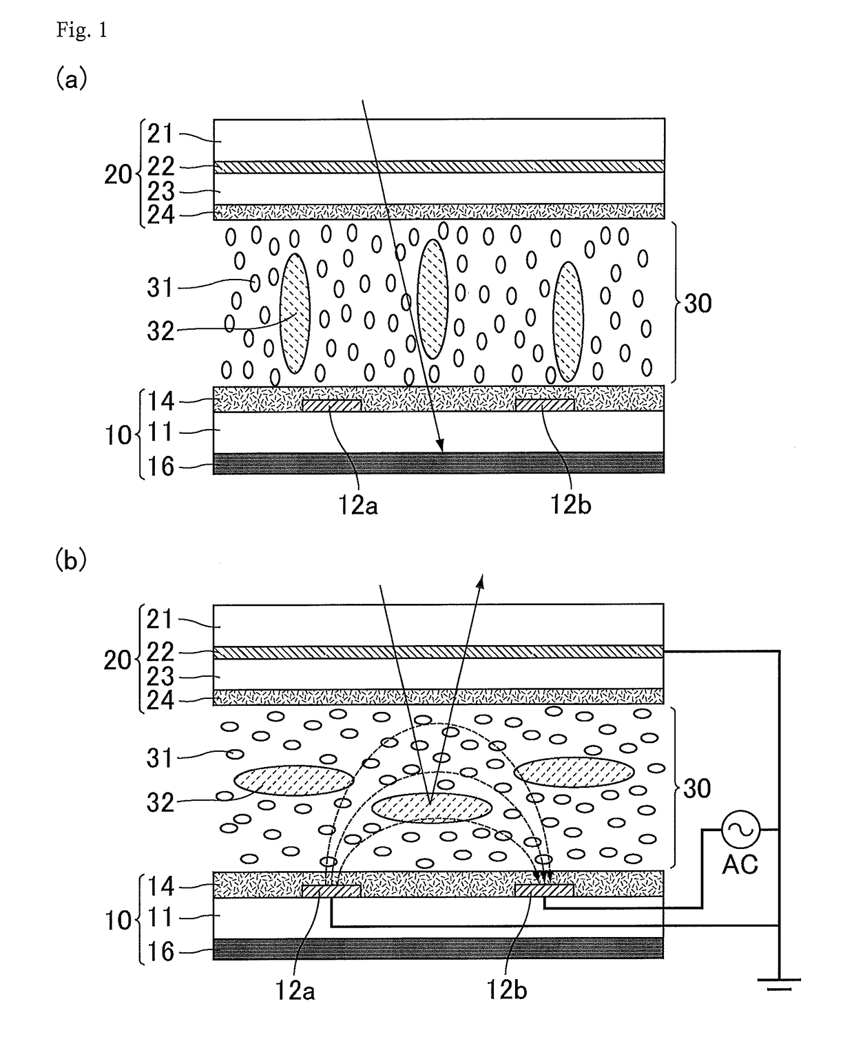 Optical modulator and display device