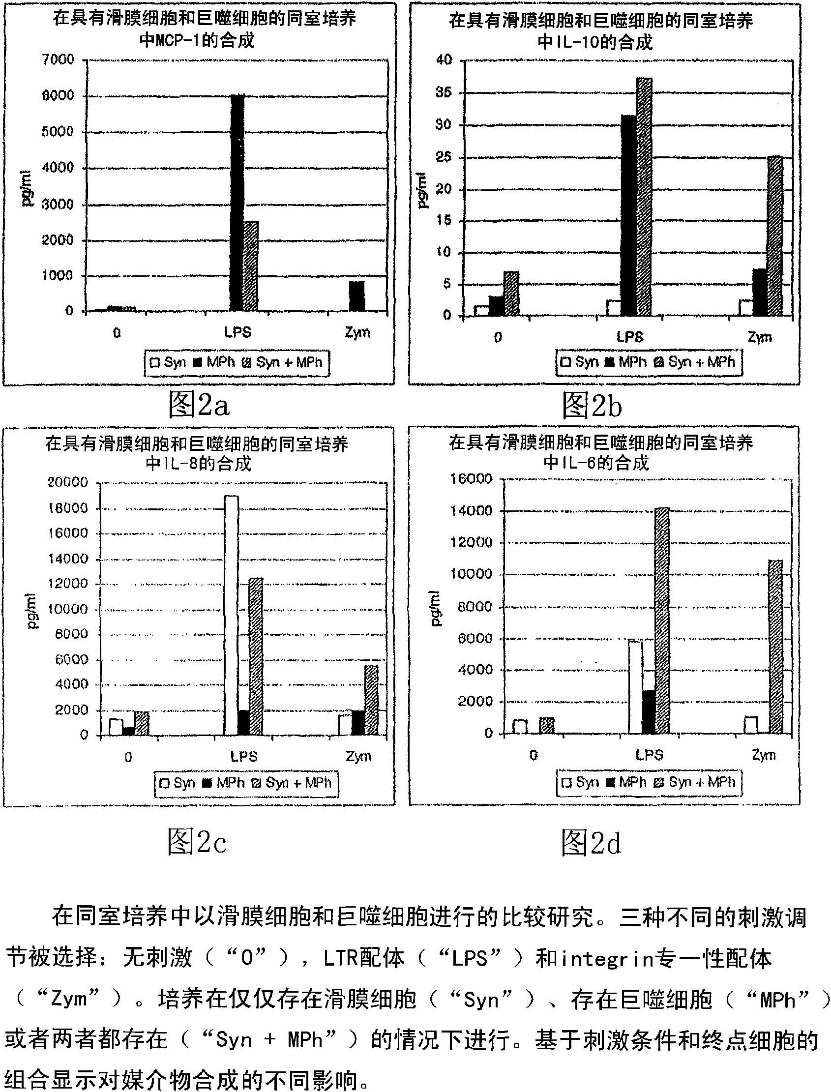 Cell culture system, method for the production thereof and use in preclinical testing