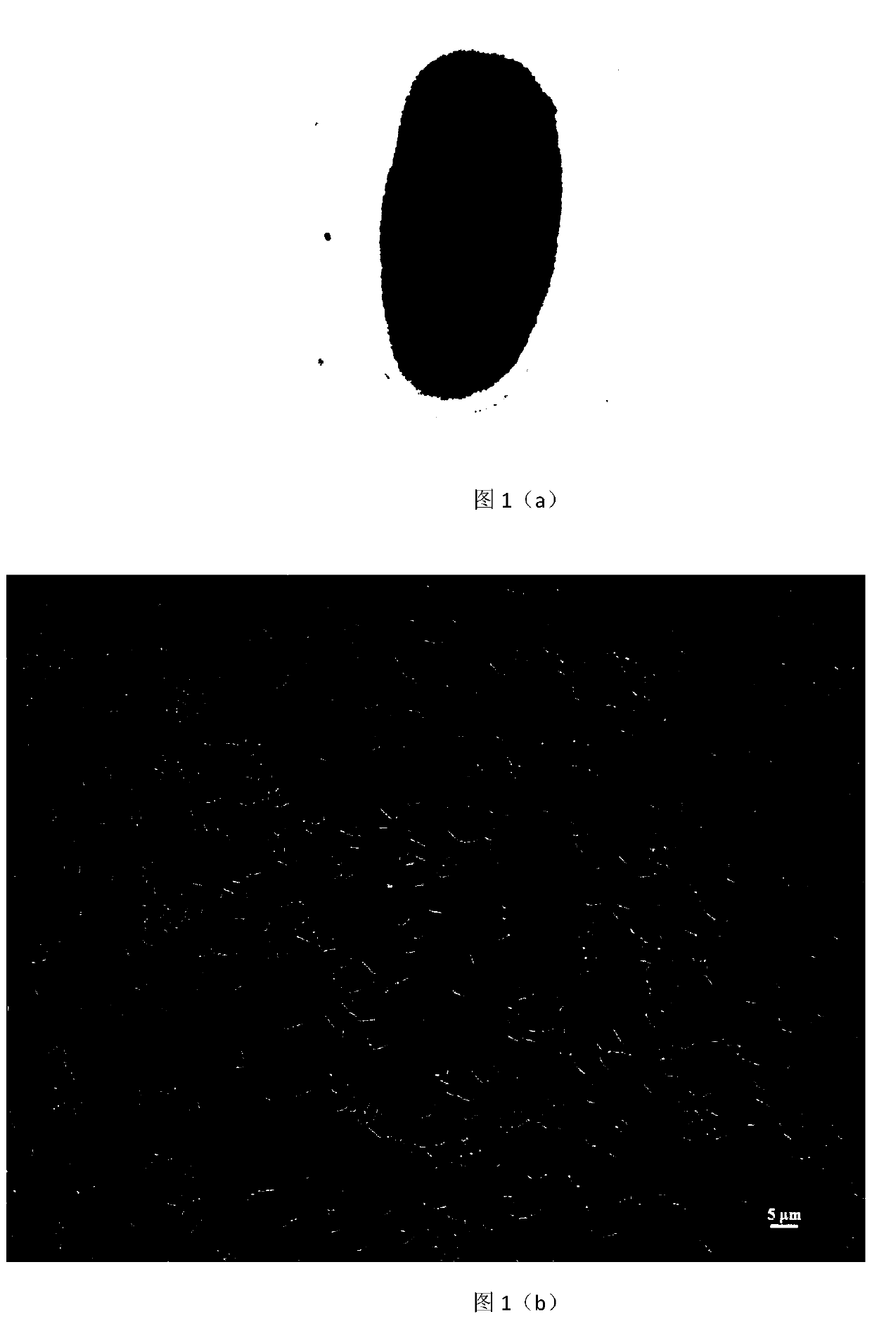 A kind of Bacillus hnt7 with broad-spectrum antibacterial activity and its preparation method and application