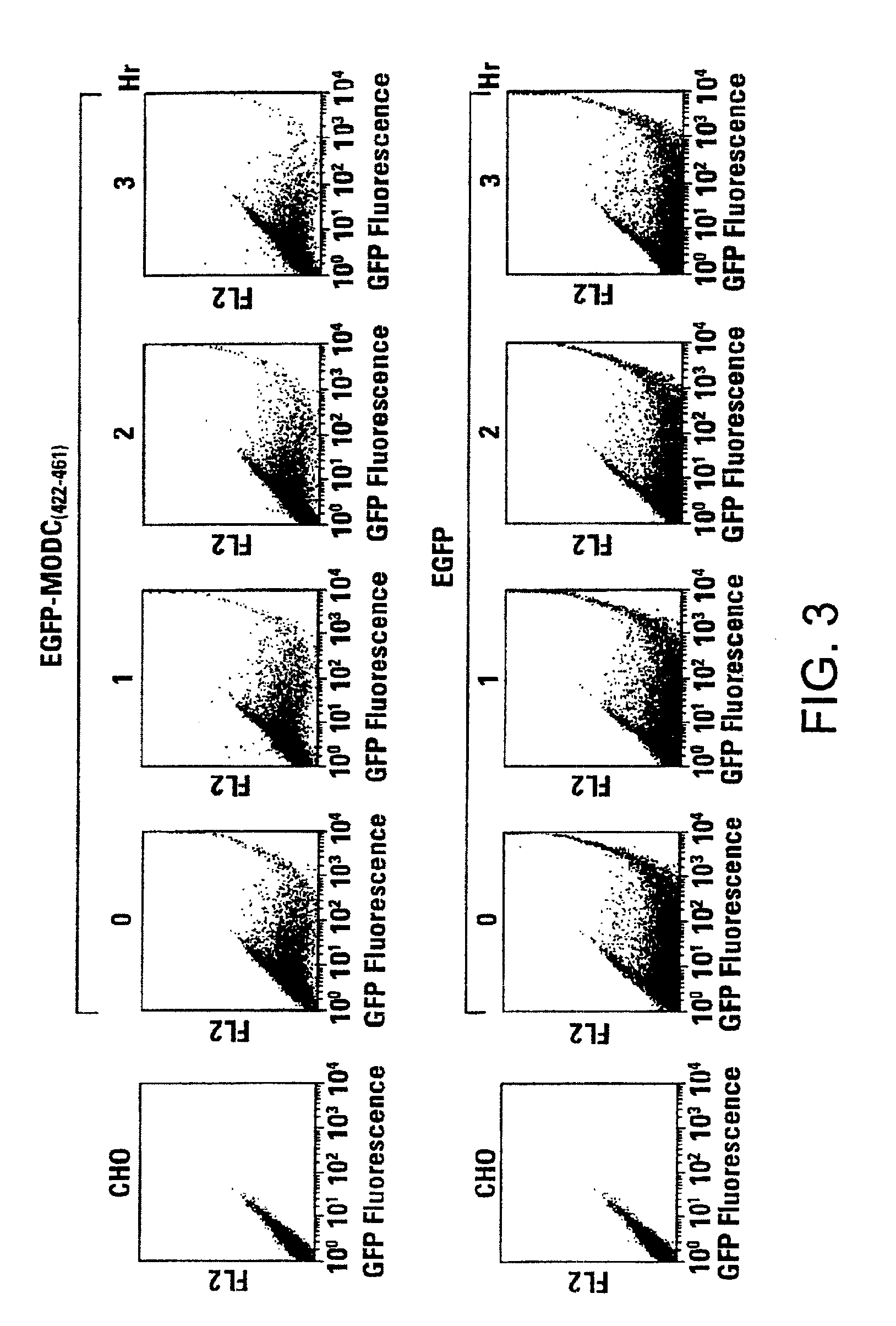 Rapidly degrading GFP-fusion proteins and methods of use